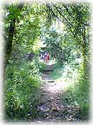 One of many peaceful trails in the park